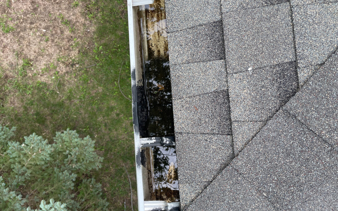 Gutter Types and Maintenance Tips from Top Omaha Gutter Companies